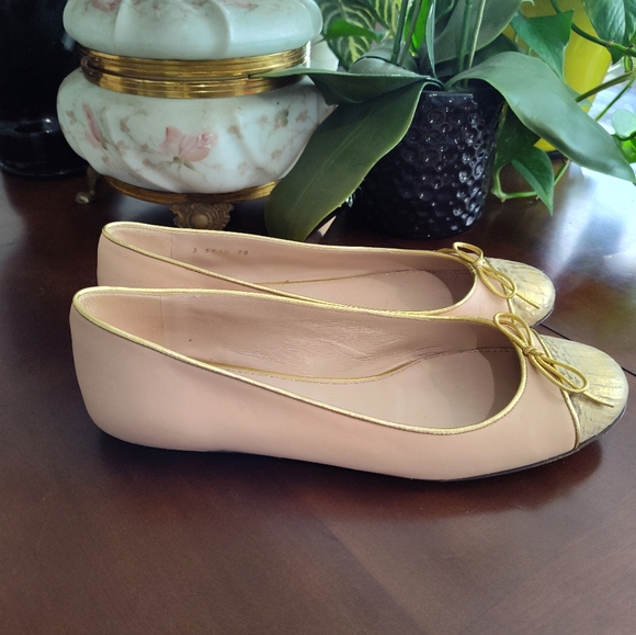 Sergio Rossi Shoes - Sergio Rossi Leather Flats